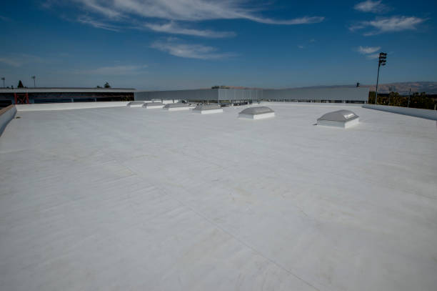Best Skylight Installation and Repair  in Chester, VA