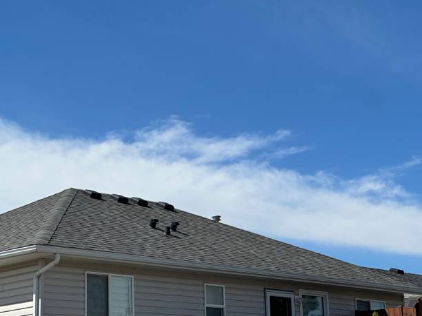 Best Hot Roofs  in Chester, VA